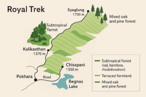 Royal trek