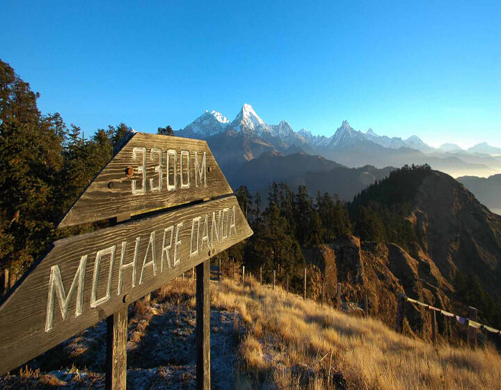 Alt, Mohare Danda Trek jpg.